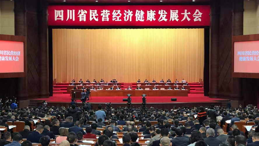 四川省民營經濟健康發展大會現場_800x600.jpg